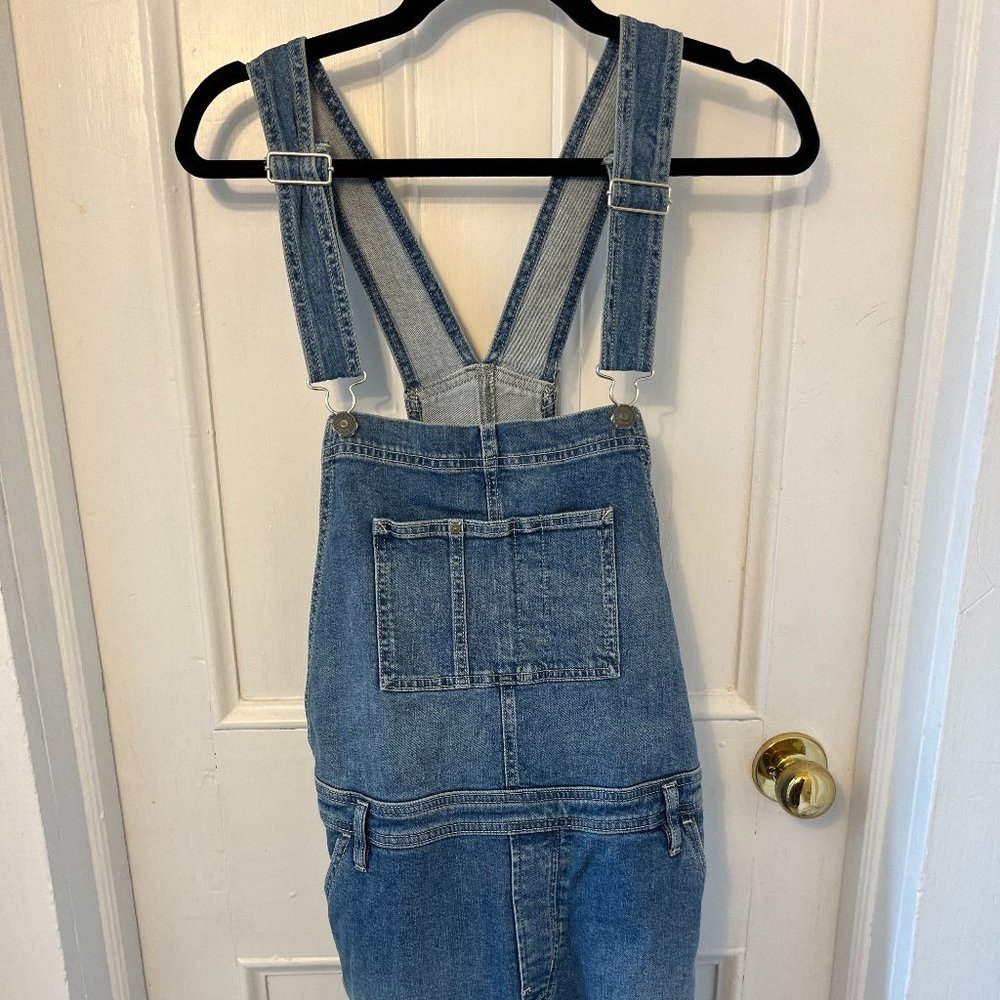 Silver brand skirtall (skirt overalls!)